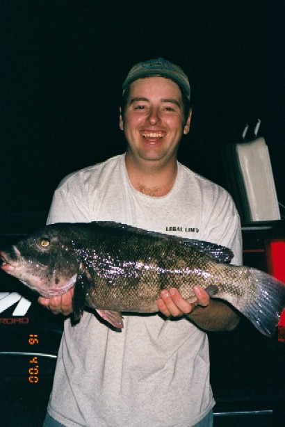 click image to enlarge