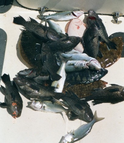 click image to enlarge