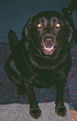 click image to enlarge