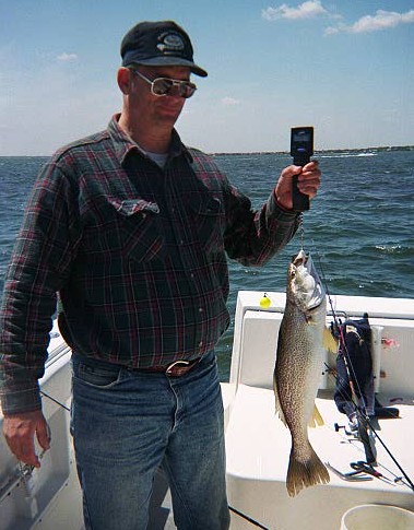 click image to enlarge