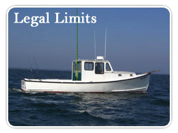 Legal Limits Charter Boat Cape May, NJ