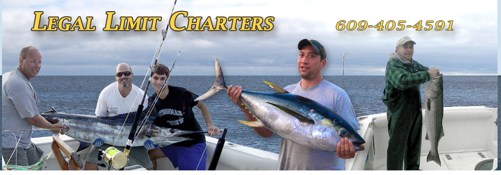 Legal Limit Charters, LLC