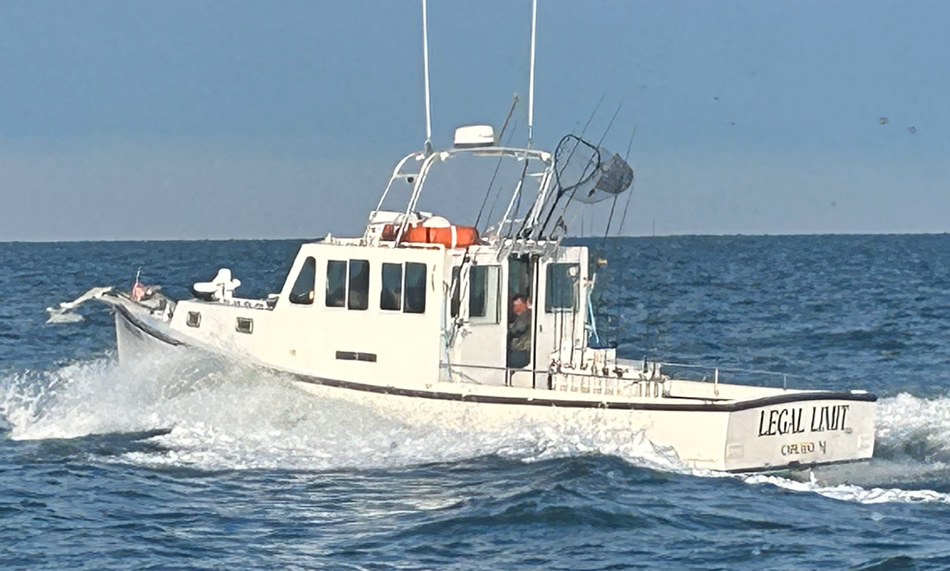Cape May Fishing